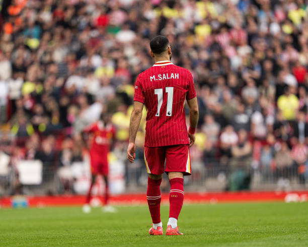 视率甚至超 视率甚至超